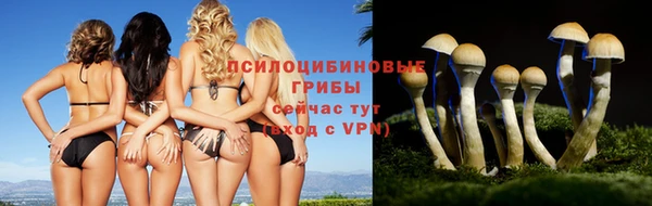 а пвп мука Богородицк
