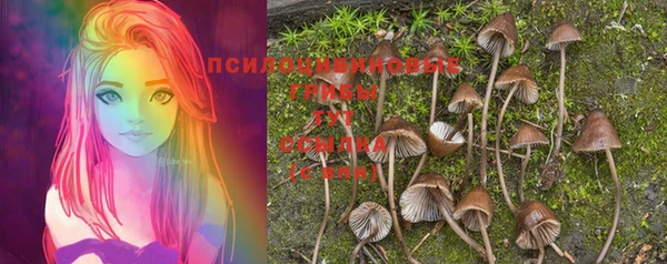 кокаин колумбия Богданович