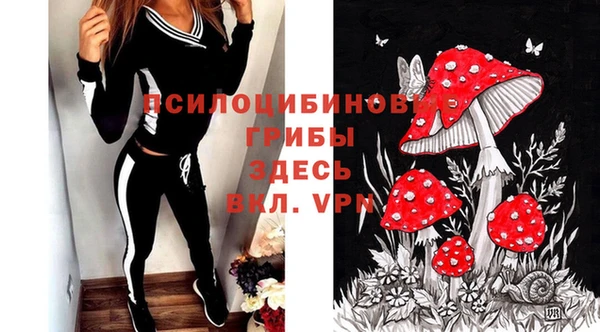 соль ск Белоозёрский